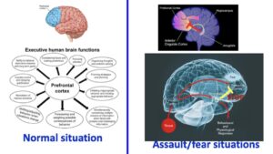 बलात्कारका बेला किन प्रतिवाद गर्न सक्दैनन्, पीडित ?