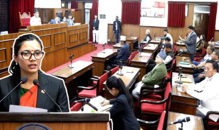 राष्ट्रिय सभाबाट प्रतिनिधिसभा निर्वाचनसम्बन्धी विधेयक पारित