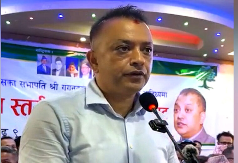 कांग्रेस अब डिजिटल र सिस्टममा चल्छ, अद्यावधिक नगर्नेहरू क्रियाशील सदस्य रहँदैनन् : सभापति थापा