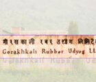 गोरखकाली रबर उद्योग सञ्चालनबारे अन्योल, चर्चा गरियो तर प्राथमिकतामा परेन