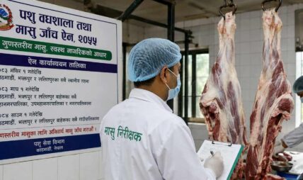काठमाडौं उपत्यकामा मंसिरदेखि मासु जाँच अनिवार्य, देशभर चरणबद्ध रूपमा कार्यान्वयन हुँदै