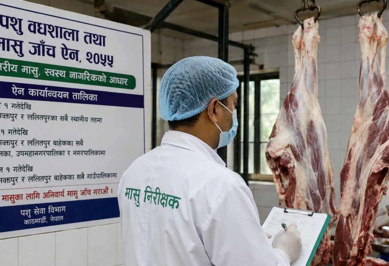 काठमाडौं उपत्यकामा मंसिरदेखि मासु जाँच अनिवार्य, देशभर चरणबद्ध रूपमा कार्यान्वयन हुँदै