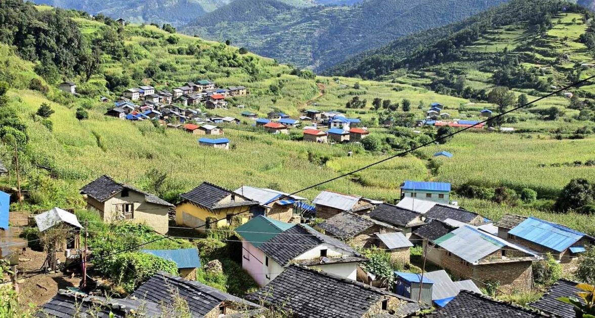 जाजरकोटका स्थानीयले जडिबुटीबाट भित्र्याए २९ करोडभन्दा बढी