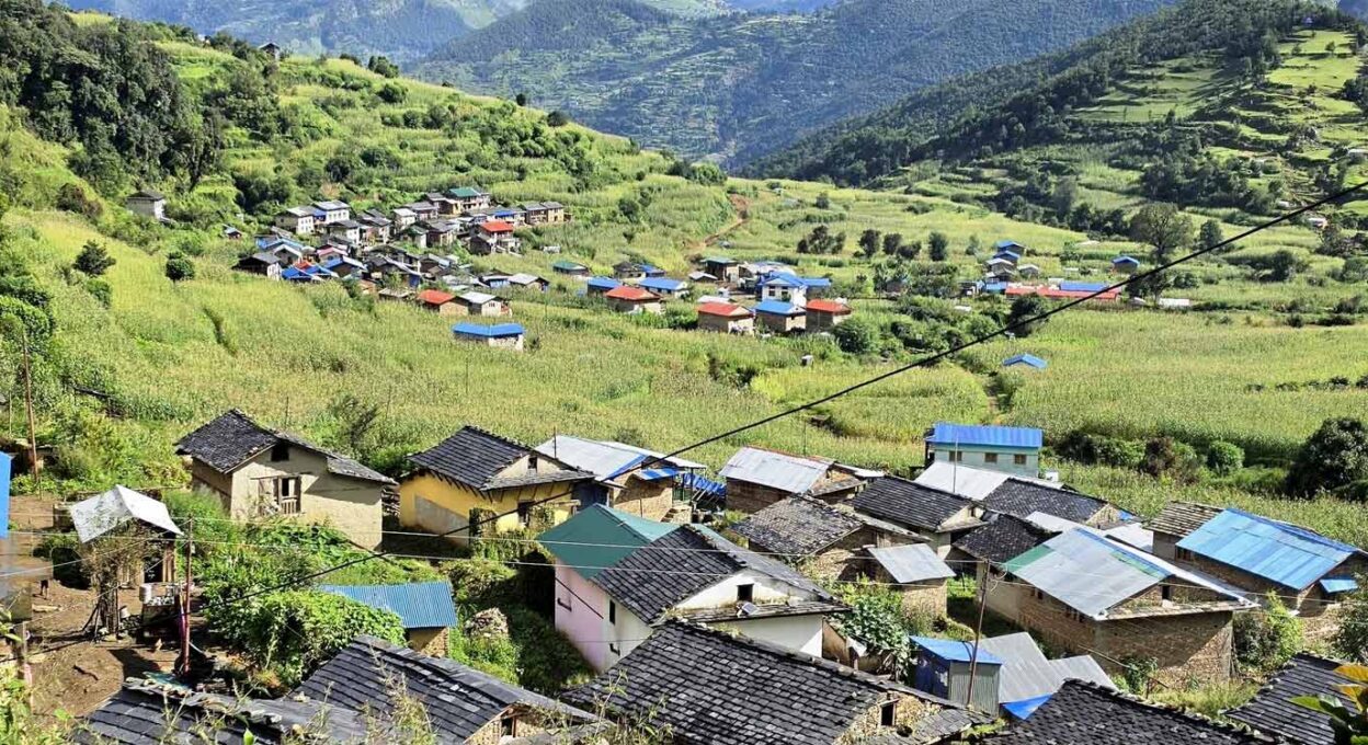 जाजरकोटका स्थानीयले जडिबुटीबाट भित्र्याए २९ करोडभन्दा बढी