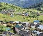 जाजरकोटका स्थानीयले जडिबुटीबाट भित्र्याए २९ करोडभन्दा बढी