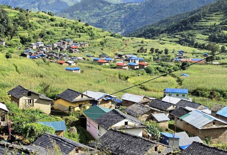 जाजरकोटका स्थानीयले जडिबुटीबाट भित्र्याए २९ करोडभन्दा बढी